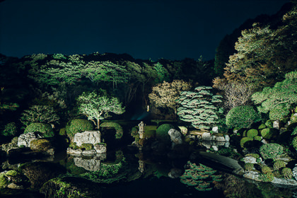 Special viewing of the Jojuin garden<br>