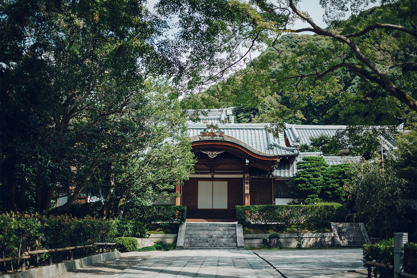 SPECIAL VIEWING OF THE JOJUIN GARDEN