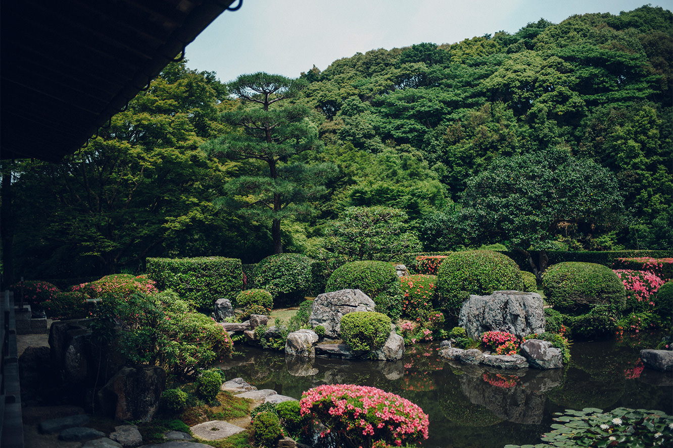 SPECIAL VIEWING OF THE JOJUIN GARDEN