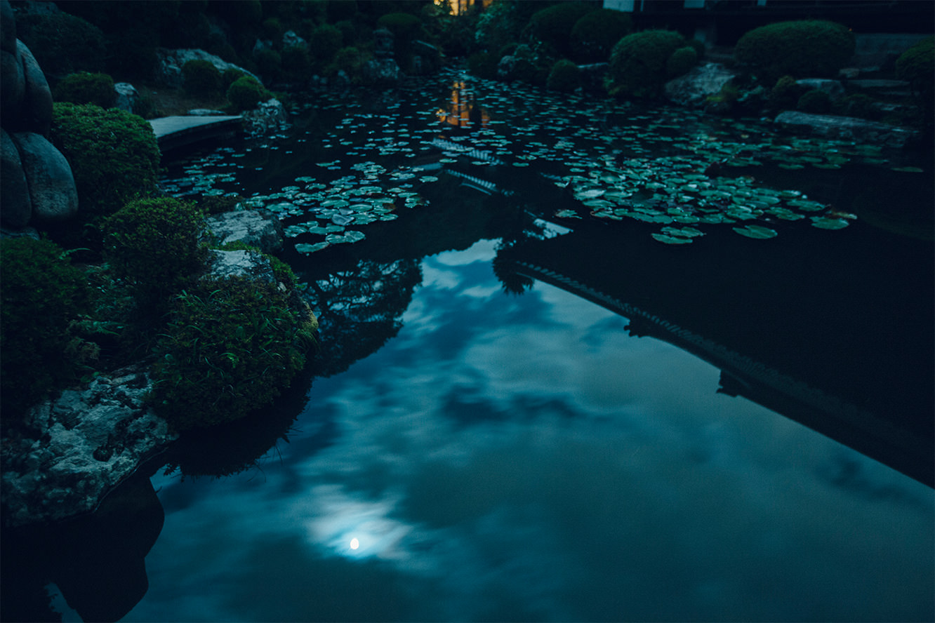 SPECIAL VIEWING OF THE JOJUIN GARDEN