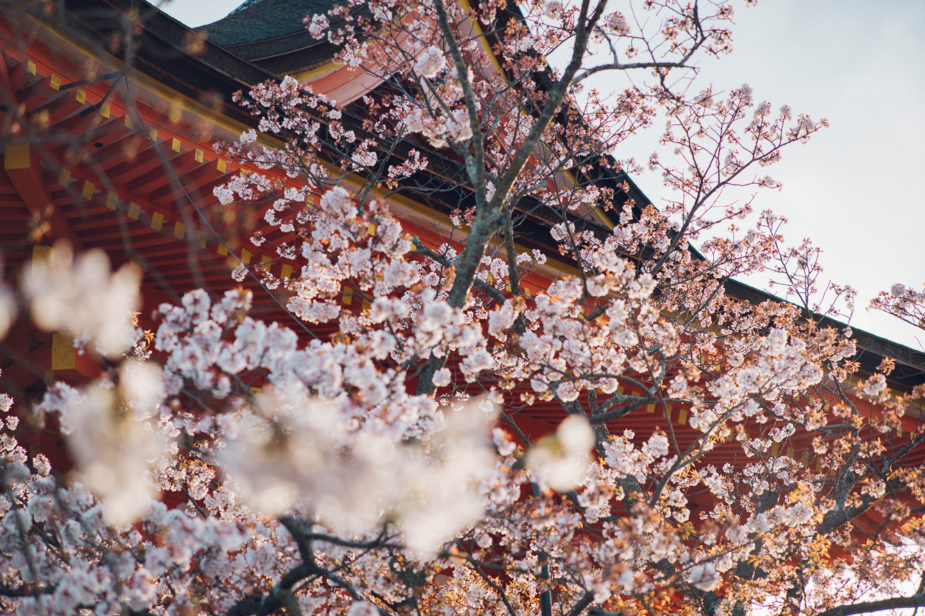 四季 音羽山 清水寺