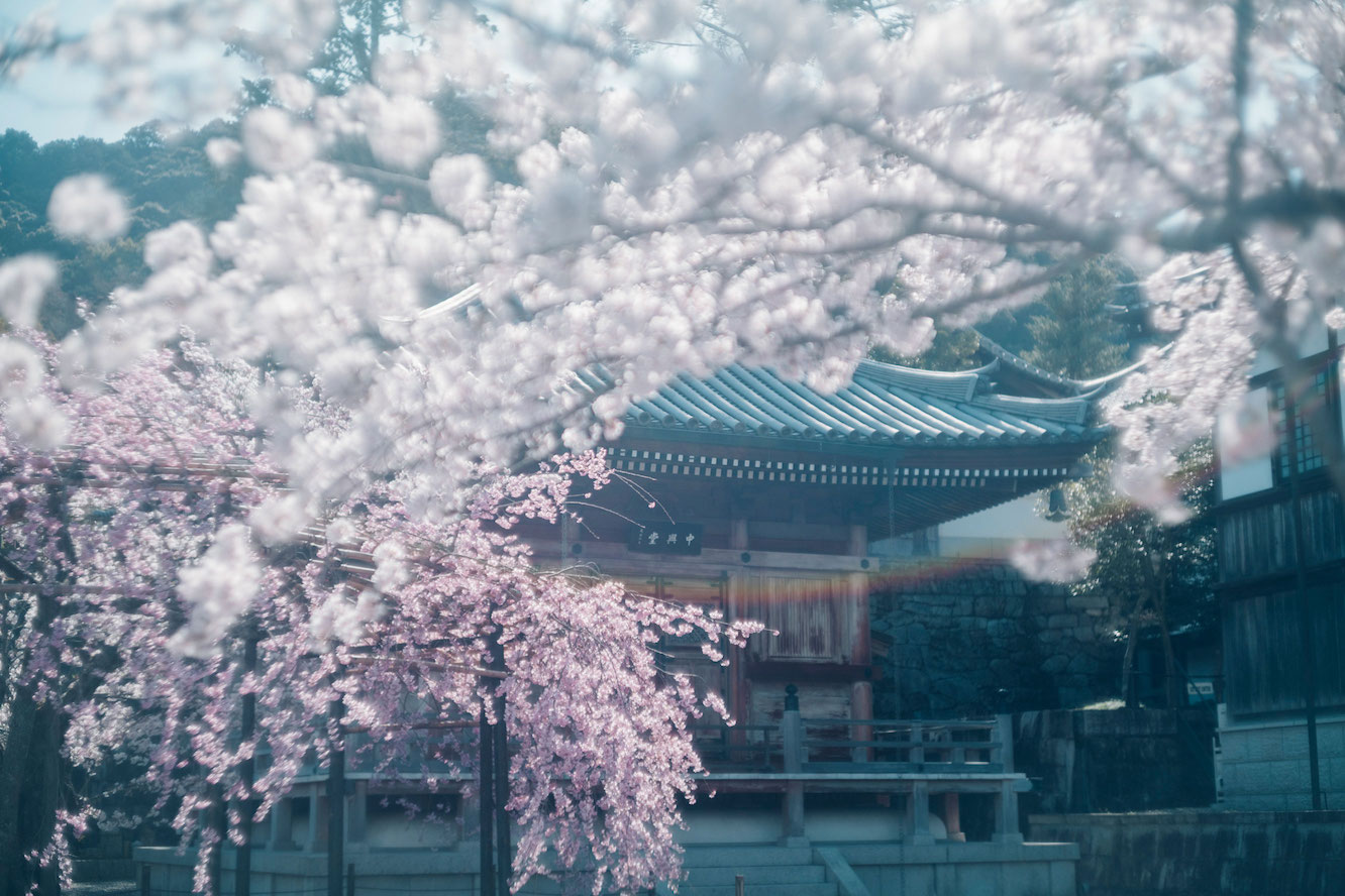 清水寺の春の風景