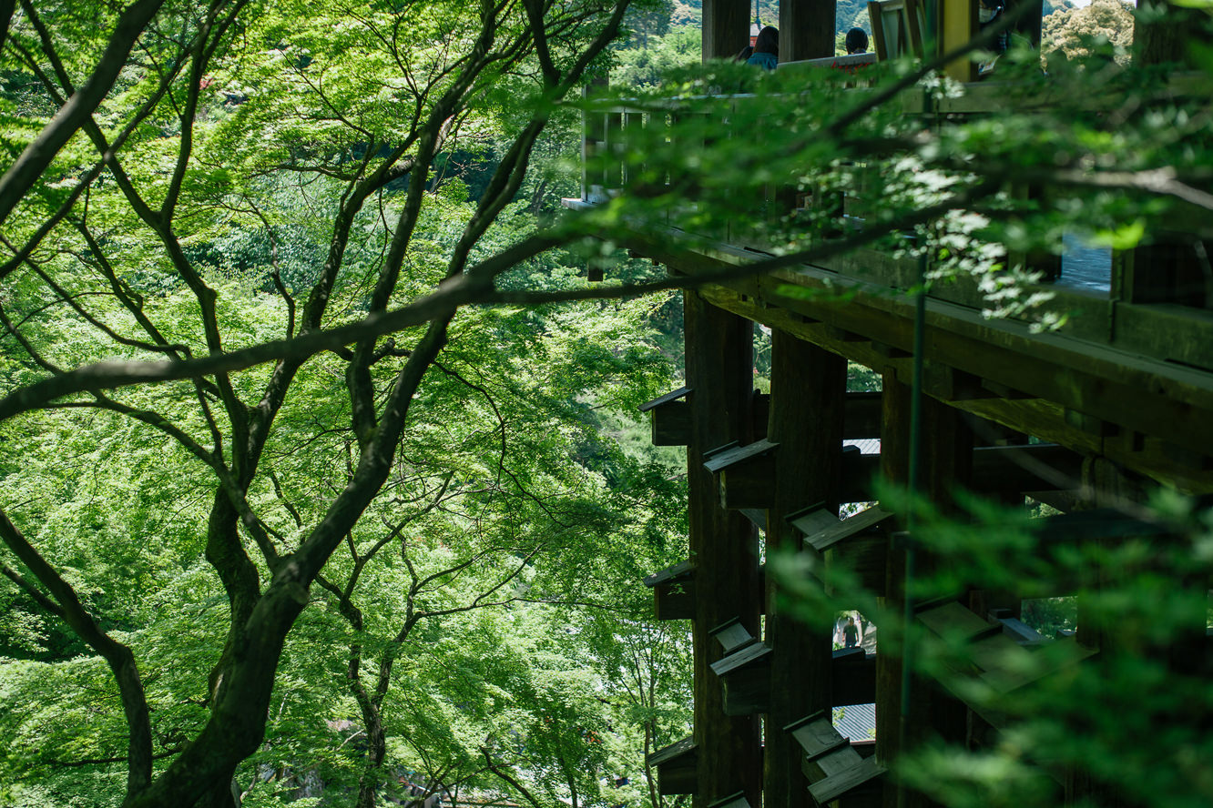 清水寺の夏の風景
