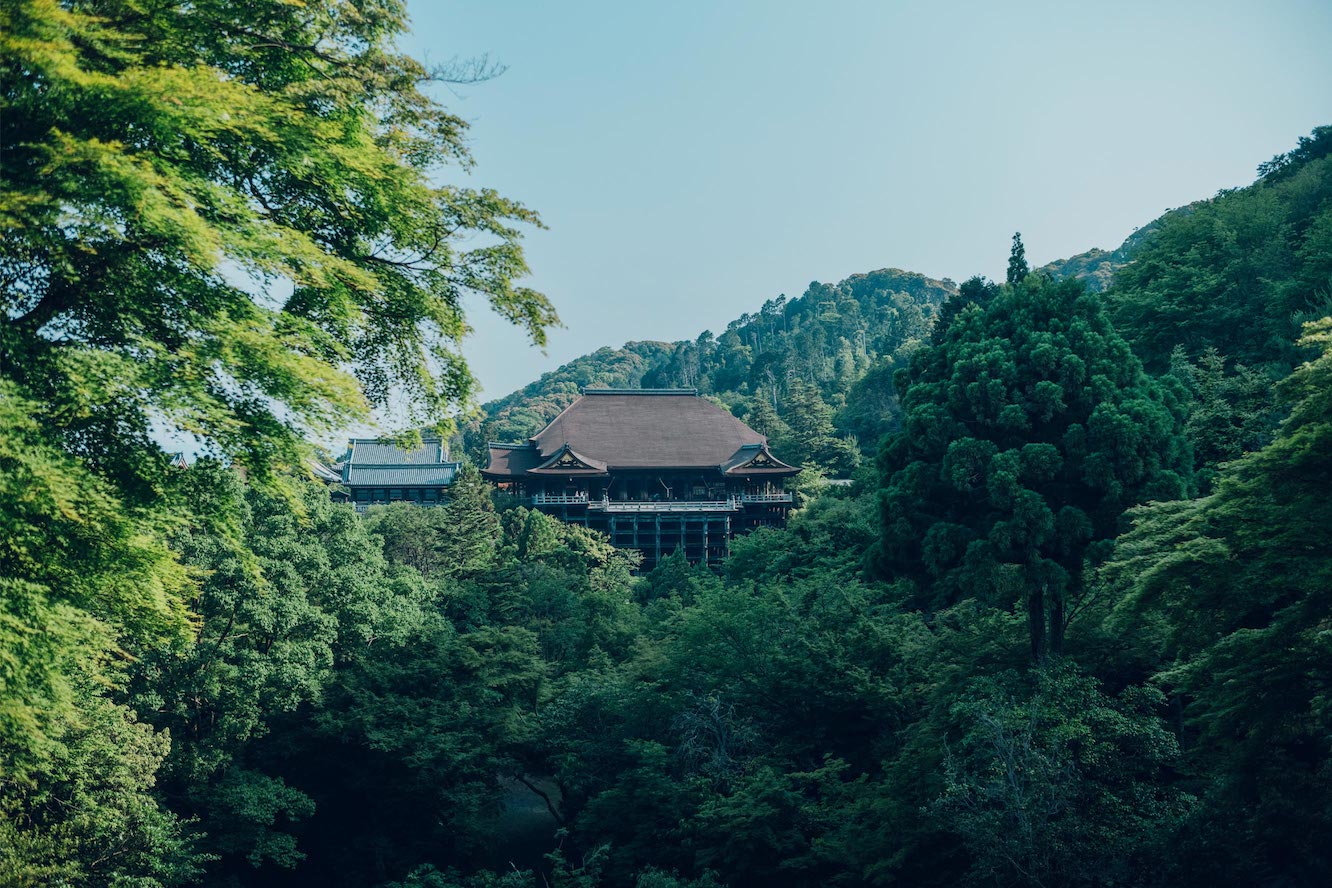 清水寺の夏の風景