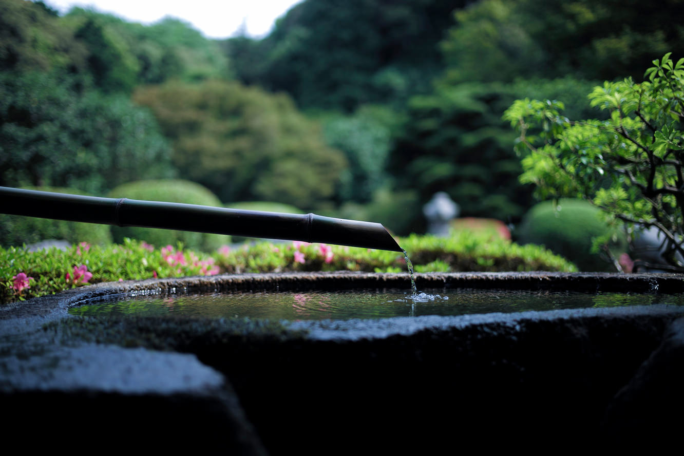 清水寺の夏の風景