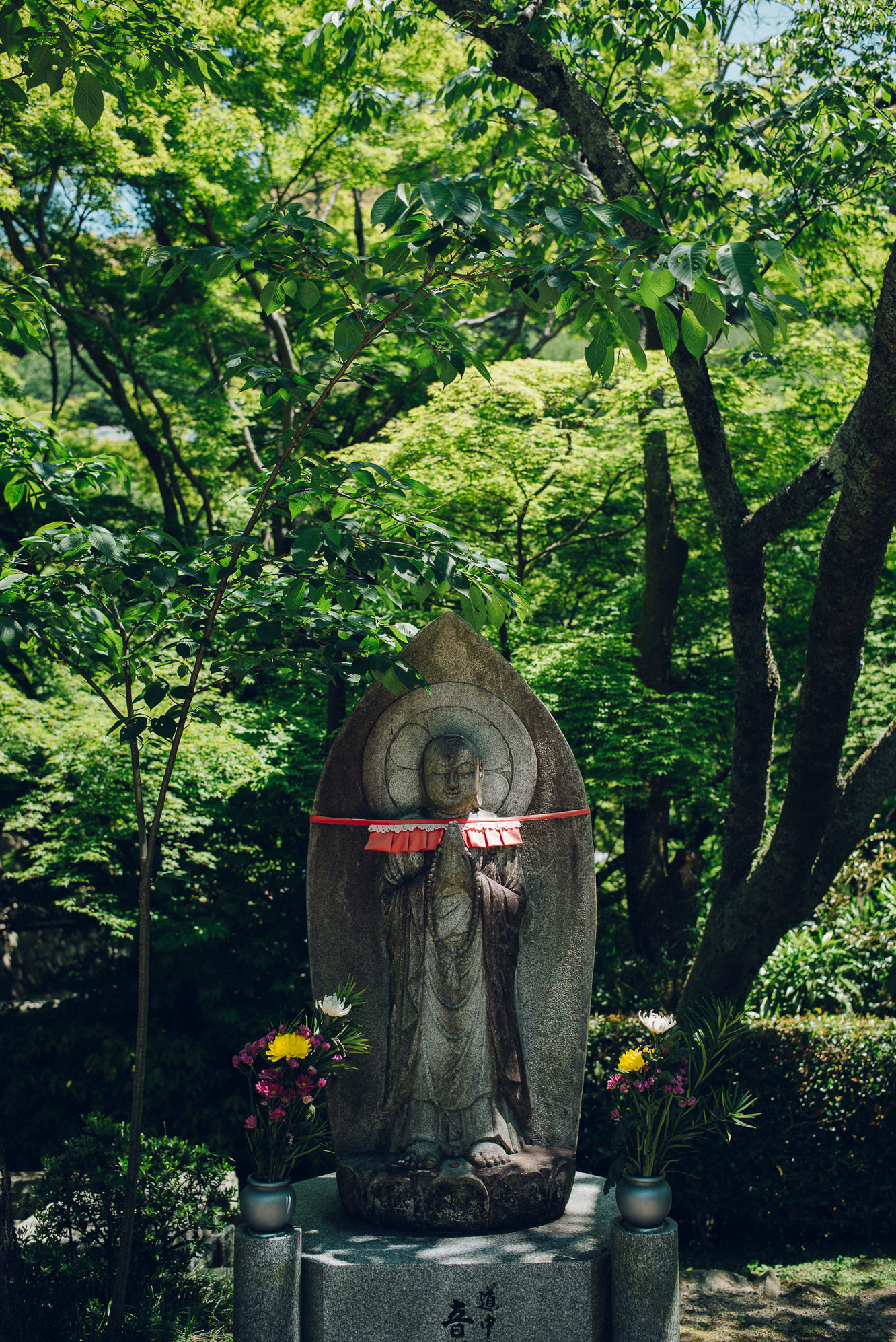 清水寺の夏の風景