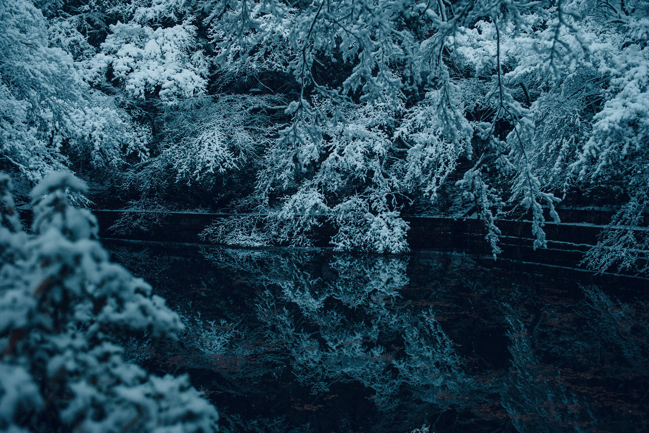 清水寺の冬の風景