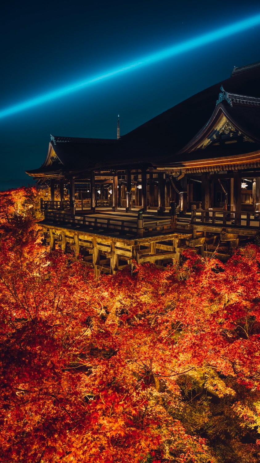 11/22 – 12/7 | THE EVENING SPECIAL VISIT – Autumn 2025 | 秋の夜間特別拝観

We are pleased to hold our annual Special Evening Autumn Viewing again this year.
Amid the brilliant autumn foliage, the temple halls illuminated in the night and a single beam of blue light piercing the clear air symbolize the boundless compassion of Kannon.

As you take in the serene beauty of the temple grounds at night, we invite you to offer your prayers to Kannon, reflect on your loved ones, and take a quiet moment to look within yourself.

[ THE EVENING SPECIAL VISIT – Autumn 2025 ]
Dates: November 22 (Sat) – December 7 (Sun)
Hours: 5:30 p.m. – 9:30 p.m. (last entry at 9:00 p.m.)
No reservation required.

[ SPECIAL VIEWING OF THE JOJUIN GARDEN – Autumn 2025 ]
Dates: November 22 (Sat) – December 7 (Sun)

Please see the link in bio for more details.

恒例の秋の夜間拝観を本年も執り行います。色づく紅葉の中に浮かび上がる堂塔、澄んだ空気に放たれる青い一筋の光は、観音さまの慈悲をあらわしています。
夜間拝観ならではの境内の眺めを楽しみながら観音様にお参りいただき、ひと時、大切な方を思い、ご自身に向き合う機会を持っていただければ幸いです。

＜清水寺 秋の夜間特別拝観＞
期間：11月22日（土）〜 12月7日（日）
時間：午後5時半～午後9時 受付終了 ＊予約の必要はございません。
協力：清水寺門前会 / 茶わん坂繁栄会 / 清水寺御用達会

「月の庭」で知られる成就院庭園も特別公開いたします。
詳しくはプロフィールリンクよりご覧ください。

-

#清水寺 #kiyomizudera #kyototravel 
#kyototemple #寺院巡り#kyototrip
#紅葉ライトアップ

photos: 2024