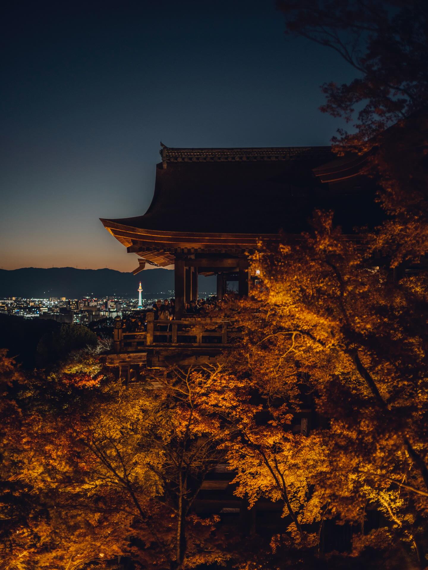 11/22 – 12/7 | THE EVENING SPECIAL VISIT – Autumn 2025 | 秋の夜間特別拝観

2025.11.22

We are pleased to hold our annual Special Evening Autumn Viewing again this year.
Amid the brilliant autumn foliage, the temple halls illuminated in the night and a single beam of blue light piercing the clear air symbolize the boundless compassion of Kannon.

As you take in the serene beauty of the temple grounds at night, we invite you to offer your prayers to Kannon, reflect on your loved ones, and take a quiet moment to look within yourself.

[ THE EVENING SPECIAL VISIT – Autumn 2025 ]
Dates: November 22 (Sat) – December 7 (Sun)
Hours: 5:30 p.m. – 9:30 p.m. (last entry at 9:00 p.m.)
No reservation required.

[ SPECIAL VIEWING OF THE JOJUIN GARDEN – Autumn 2025 ]
Dates: November 22 (Sat) – December 7 (Sun)

Please see the link in bio for more details.

恒例の秋の夜間拝観を本年も執り行います。色づく紅葉の中に浮かび上がる堂塔、澄んだ空気に放たれる青い一筋の光は、観音さまの慈悲をあらわしています。
夜間拝観ならではの境内の眺めを楽しみながら観音様にお参りいただき、ひと時、大切な方を思い、ご自身に向き合う機会を持っていただければ幸いです。

＜清水寺 秋の夜間特別拝観＞
期間：11月22日（土）〜 12月7日（日）
時間：午後5時半～午後9時 受付終了 ＊予約の必要はございません。
協力：清水寺門前会 / 茶わん坂繁栄会 / 清水寺御用達会

「月の庭」で知られる成就院庭園も特別公開いたします。
詳しくはプロフィールリンクよりご覧ください。

-

#清水寺 #kiyomizudera #kyototravel
#kyototemple #寺院巡り#kyototrip
#紅葉ライトアップ