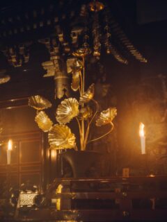 Thousand-day Prayer 2025 | 清水寺 千日詣り
 本堂内々陣特別拝観
 [ SPECIAL VIEWING OF THE NAINAIJIN, IN THE MAIN HALL 2025]
 
– Viewing : 9:00 a.m. – 5:00 p.m. (last entry), August 9 – 16 9:00 a.m. – 9:00 p.m. (last entry / The Evening Special Visit), August 14 – 16
 
– Admission fee : Adult 500 Yen / elementary & junior high student 200 Yen
 
THE HOLY CUSTOM TAKES PLACE ONTHE DAYS WHEN KANNON’S BLESSINGSARE AMPLIFIED
The custom of the Thousand-day Prayer, during which one day of prayer is equivalent to a thousand days’ worth of meritorious prayers, took root alongside the spread of the worship of Kannon. It has widely gained popularity as the event for which the Kannon’s blessings are amplified. On these days, you can feel the great compassion of Kannon, who earnestly listens to every person’s vows and worries and strives to relieve each torment. During the period of Thousand-day Prayer, the nainaijin (the innermost sanctuary) in Main Hall is specially opened to the public in the evening as well as in the daytime.

8/9-8/16 千日詣り／本堂内々陣特別拝観　8/14-8/16 夜間特別拝観
清水寺 千日詣り／本堂内々陣特別拝観 実施期間：8月9日（土）～8月16日（土） 拝観時間：午前9時～午後5時まで内々陣に入堂いただけます ＊夜間特別拝観期間は午後9時に受付を終了いたします 法要：午前11時・午後7時30分 　　　   夜間特別拝観 実施期間：8月14日（木）・15日（金）・16日（土） 拝観時間：日没より境内点灯～午後9時（受付終了） 協力：清水寺門前会　茶わん坂繁栄会　清水寺御用達会   ＊千日詣り／本堂内々陣特別拝観、夜間特別拝観ともに予約の必要はございません。