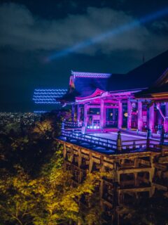 追善供養法要と祈りの夜間特別拝観
本堂御宝前において、乳がんによって亡くなられた方の追善供養法要を執り行います。
この日に限り、祈りを捧げるための夜間特別拝観を受け付けております。
日程:10月3日(金)
時間:追善供養法要 午後6時45分〜
   夜間特別拝観 午後6時50分〜午後9時30分(最終受付は9時まで)
点灯:本堂・観音堂光のピンクライトアップ 午後6時45分〜
ドローンショー:午後7時〜/午後8時45分〜 計2回
※拝観可能区域に制限あり/拝観料は無料です。
※雨天決行ですが荒天時は中止になる場合があります。
●プリンセチアのピンクリボンマーク装飾
西門前の階段に、柔らかなピンク色の植物プリンセチアをもちいてピンクリボンのマークを表現します。
奉納:サントリーフラワーズ株式会社
日程:10月3日(金)拝観自由
https://www.elcompanies.com/ja-jp/our-impact/social/the-breast-cancer-campaign