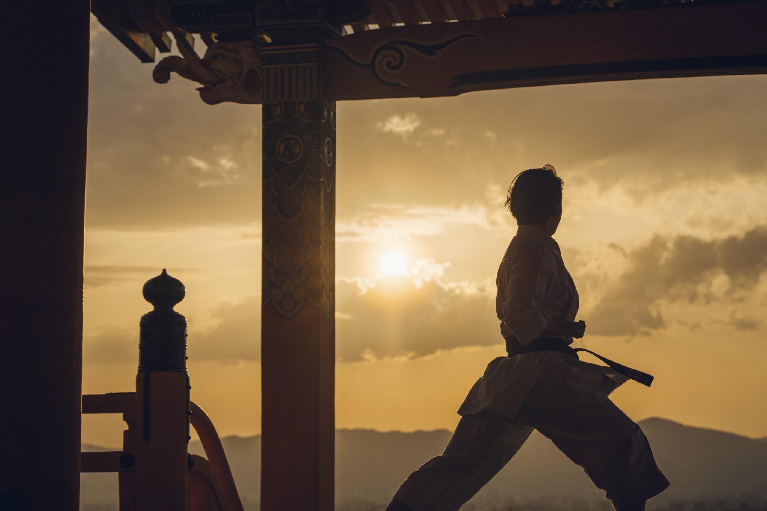 The video “The Karate Path” has been released on FEEL KIYOMIZUDERA.