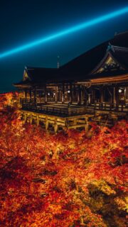 11/22 – 12/7 | THE EVENING SPECIAL VISIT – Autumn 2025 | 秋の夜間特別拝観

We are pleased to hold our annual Special Evening Autumn Viewing again this year.
Amid the brilliant autumn foliage, the temple halls illuminated in the night and a single beam of blue light piercing the clear air symbolize the boundless compassion of Kannon.

As you take in the serene beauty of the temple grounds at night, we invite you to offer your prayers to Kannon, reflect on your loved ones, and take a quiet moment to look within yourself.

[ THE EVENING SPECIAL VISIT – Autumn 2025 ]
Dates: November 22 (Sat) – December 7 (Sun)
Hours: 5:30 p.m. – 9:30 p.m. (last entry at 9:00 p.m.)
No reservation required.

[ SPECIAL VIEWING OF THE JOJUIN GARDEN – Autumn 2025 ]
Dates: November 22 (Sat) – December 7 (Sun)

Please see the link in bio for more details.

恒例の秋の夜間拝観を本年も執り行います。色づく紅葉の中に浮かび上がる堂塔、澄んだ空気に放たれる青い一筋の光は、観音さまの慈悲をあらわしています。
夜間拝観ならではの境内の眺めを楽しみながら観音様にお参りいただき、ひと時、大切な方を思い、ご自身に向き合う機会を持っていただければ幸いです。

＜清水寺 秋の夜間特別拝観＞
期間：11月22日（土）〜 12月7日（日）
時間：午後5時半～午後9時 受付終了 ＊予約の必要はございません。
協力：清水寺門前会 / 茶わん坂繁栄会 / 清水寺御用達会

「月の庭」で知られる成就院庭園も特別公開いたします。
詳しくはプロフィールリンクよりご覧ください。

-

#清水寺 #kiyomizudera #kyototravel 
#kyototemple #寺院巡り#kyototrip
#紅葉ライトアップ

photos: 2024
