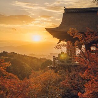 11/22 – 12/7 | THE EVENING SPECIAL VISIT – Autumn 2025 | 秋の夜間特別拝観

We are pleased to hold our annual Special Evening Autumn Viewing again this year.
Amid the brilliant autumn foliage, the temple halls illuminated in the night and a single beam of blue light piercing the clear air symbolize the boundless compassion of Kannon.

As you take in the serene beauty of the temple grounds at night, we invite you to offer your prayers to Kannon, reflect on your loved ones, and take a quiet moment to look within yourself.

[ THE EVENING SPECIAL VISIT – Autumn 2025 ]
Dates: November 22 (Sat) – December 7 (Sun)
Hours: 5:30 p.m. – 9:30 p.m. (last entry at 9:00 p.m.)
No reservation required.

[ SPECIAL VIEWING OF THE JOJUIN GARDEN – Autumn 2025 ]
Dates: November 22 (Sat) – December 7 (Sun)

Please see the link in bio for more details.

恒例の秋の夜間拝観を本年も執り行います。色づく紅葉の中に浮かび上がる堂塔、澄んだ空気に放たれる青い一筋の光は、観音さまの慈悲をあらわしています。
夜間拝観ならではの境内の眺めを楽しみながら観音様にお参りいただき、ひと時、大切な方を思い、ご自身に向き合う機会を持っていただければ幸いです。

＜清水寺 秋の夜間特別拝観＞
期間：11月22日（土）〜 12月7日（日）
時間：午後5時半～午後9時 受付終了 ＊予約の必要はございません。
協力：清水寺門前会 / 茶わん坂繁栄会 / 清水寺御用達会

「月の庭」で知られる成就院庭園も特別公開いたします。
詳しくはプロフィールリンクよりご覧ください。

-

#清水寺 #kiyomizudera #kyototravel 
#kyototemple #寺院巡り#kyototrip
#紅葉ライトアップ

photos: 2024
