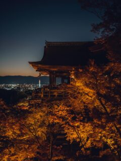 11/22 – 12/7 | THE EVENING SPECIAL VISIT – Autumn 2025 | 秋の夜間特別拝観

2025.11.22

We are pleased to hold our annual Special Evening Autumn Viewing again this year.
Amid the brilliant autumn foliage, the temple halls illuminated in the night and a single beam of blue light piercing the clear air symbolize the boundless compassion of Kannon.

As you take in the serene beauty of the temple grounds at night, we invite you to offer your prayers to Kannon, reflect on your loved ones, and take a quiet moment to look within yourself.

[ THE EVENING SPECIAL VISIT – Autumn 2025 ]
Dates: November 22 (Sat) – December 7 (Sun)
Hours: 5:30 p.m. – 9:30 p.m. (last entry at 9:00 p.m.)
No reservation required.

[ SPECIAL VIEWING OF THE JOJUIN GARDEN – Autumn 2025 ]
Dates: November 22 (Sat) – December 7 (Sun)

Please see the link in bio for more details.

恒例の秋の夜間拝観を本年も執り行います。色づく紅葉の中に浮かび上がる堂塔、澄んだ空気に放たれる青い一筋の光は、観音さまの慈悲をあらわしています。
夜間拝観ならではの境内の眺めを楽しみながら観音様にお参りいただき、ひと時、大切な方を思い、ご自身に向き合う機会を持っていただければ幸いです。

＜清水寺 秋の夜間特別拝観＞
期間：11月22日（土）〜 12月7日（日）
時間：午後5時半～午後9時 受付終了 ＊予約の必要はございません。
協力：清水寺門前会 / 茶わん坂繁栄会 / 清水寺御用達会

「月の庭」で知られる成就院庭園も特別公開いたします。
詳しくはプロフィールリンクよりご覧ください。

-

#清水寺 #kiyomizudera #kyototravel
#kyototemple #寺院巡り#kyototrip
#紅葉ライトアップ